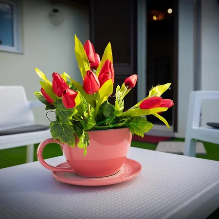 Lory * Αγκριτζέντο