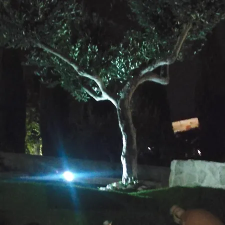 Lory Αγκριτζέντο